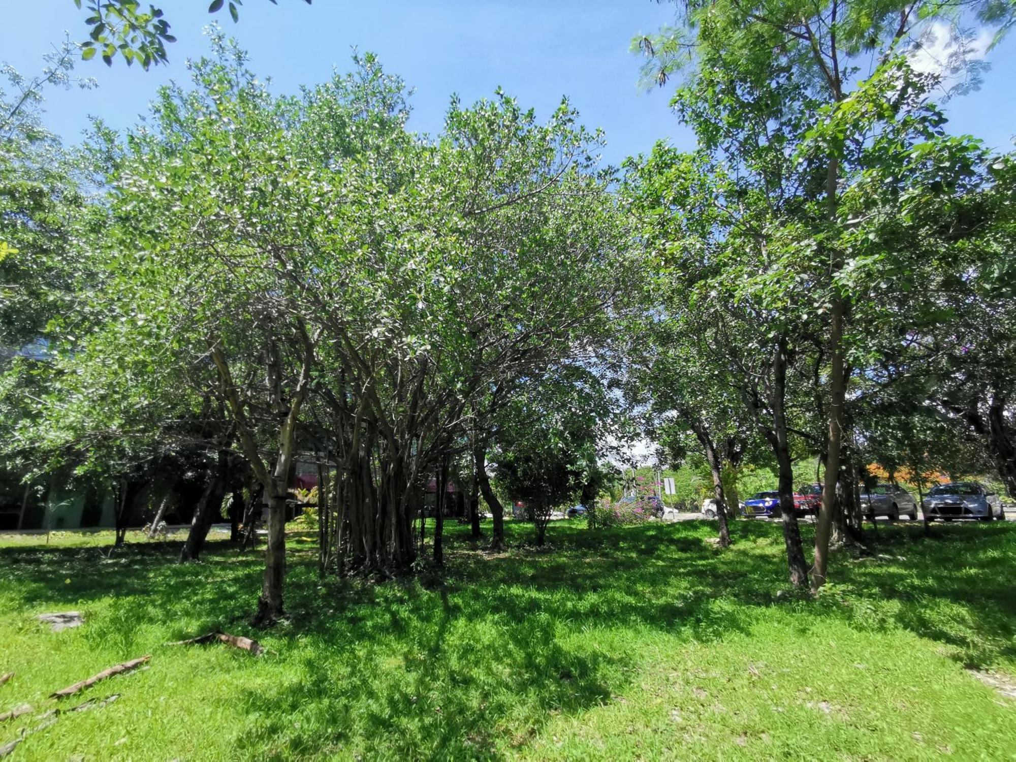 Beautiful & Cozy Near Beach Apartment Pool & Kingsize Bed Cancún Habitación foto